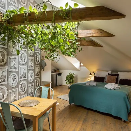 Gigantic Boho Chic 3 Bedroom 3 Bathroom Loft With Hanging Chair * Прага