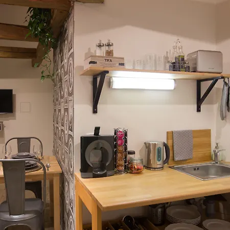 Gigantic Boho Chic 3 Bedroom 3 Bathroom Loft With Hanging Chair Апартаменты Прага