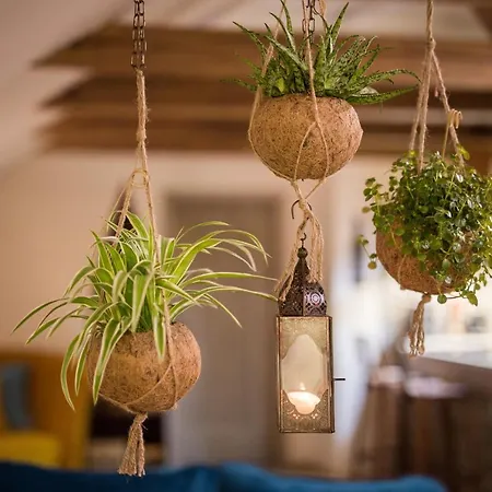 Apartman Gigantic Boho Chic 3 Bedroom 3 Bathroom Loft With Hanging Chair Prága
